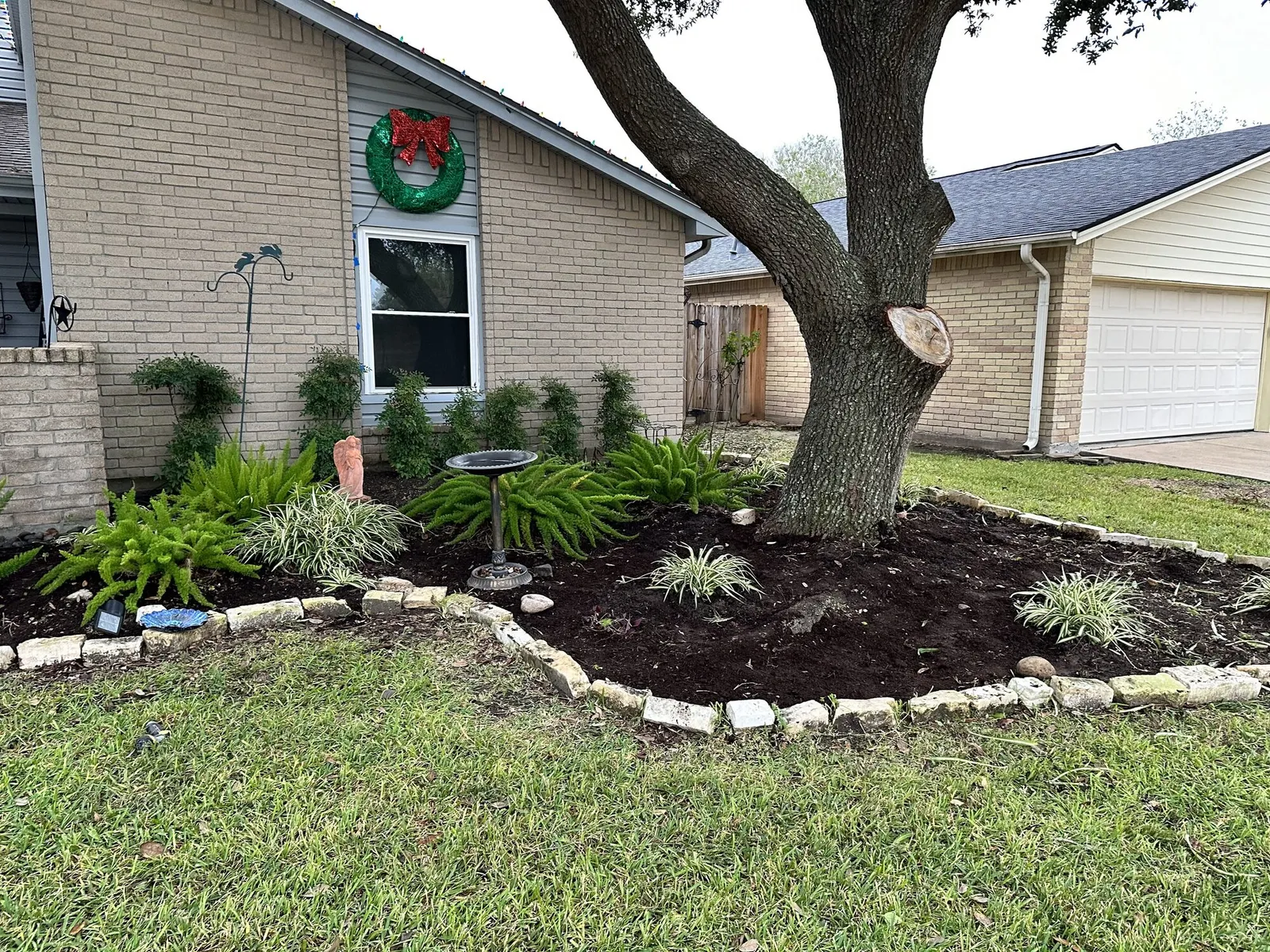 Fresh mulch bed and trimmed plants by a tree