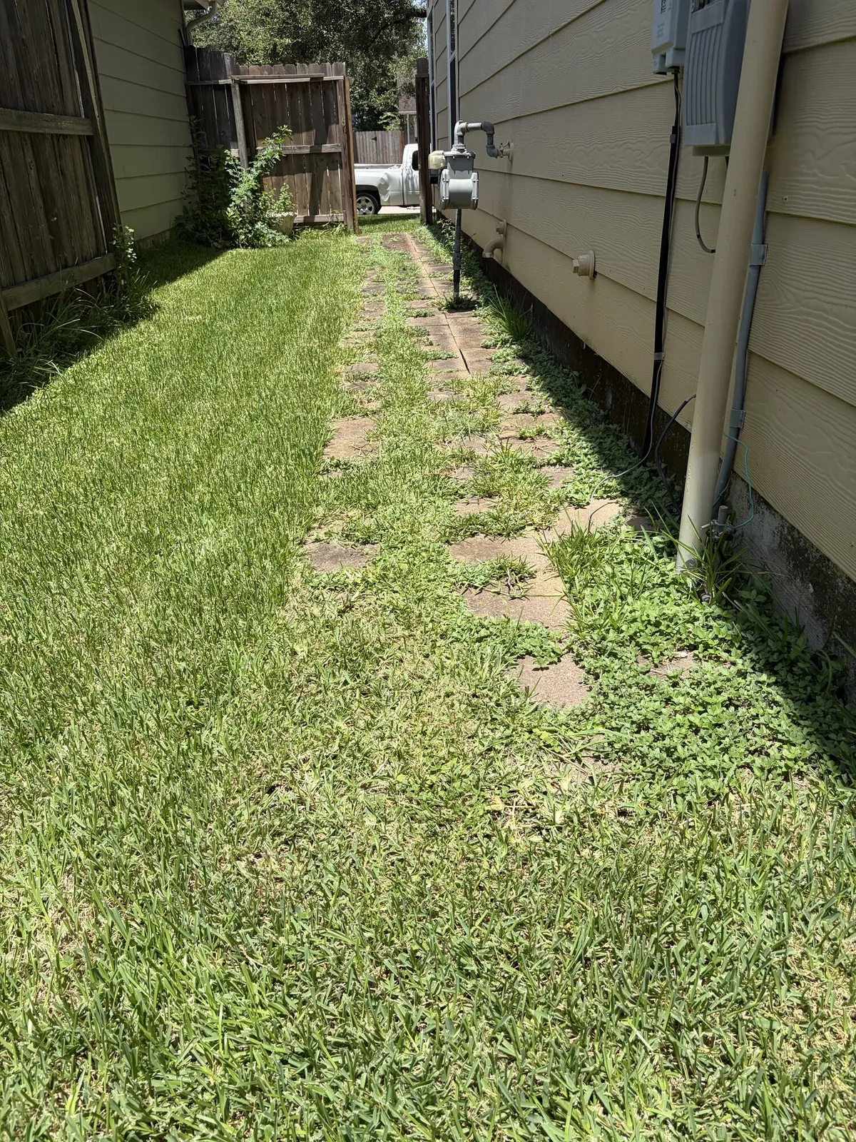 Clear, tidy side yard
